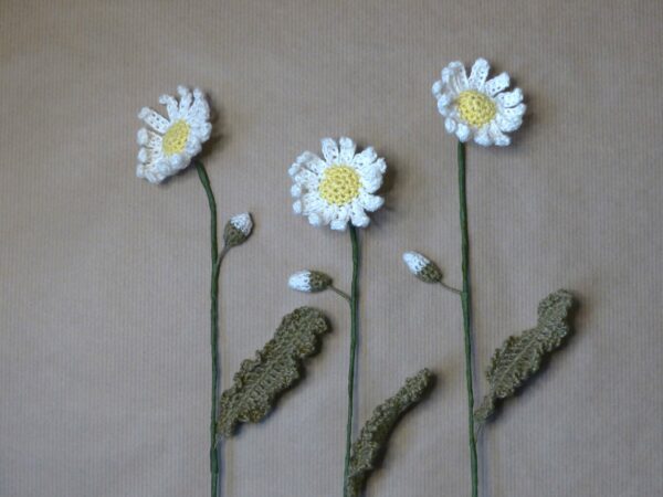 Marguerite